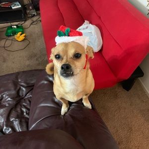 Don’t forget to bundle and save $$$